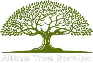 Allan's Tree Service Logo with green tree and limbs and white text.