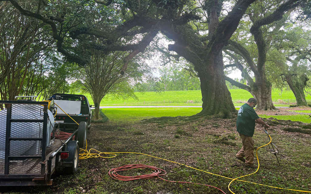 An image of a worker injecting fertilizer into the root system of a large Live Oak tree.