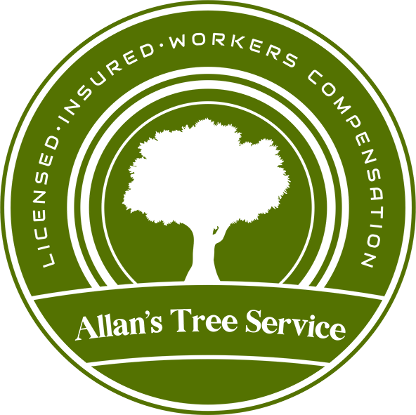 Allan's Tree Service logo with transparent and green coloration