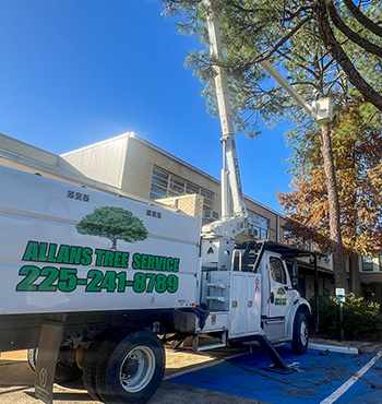 An image of a bucket truck with a Tree Trimming Technician in the bucket.